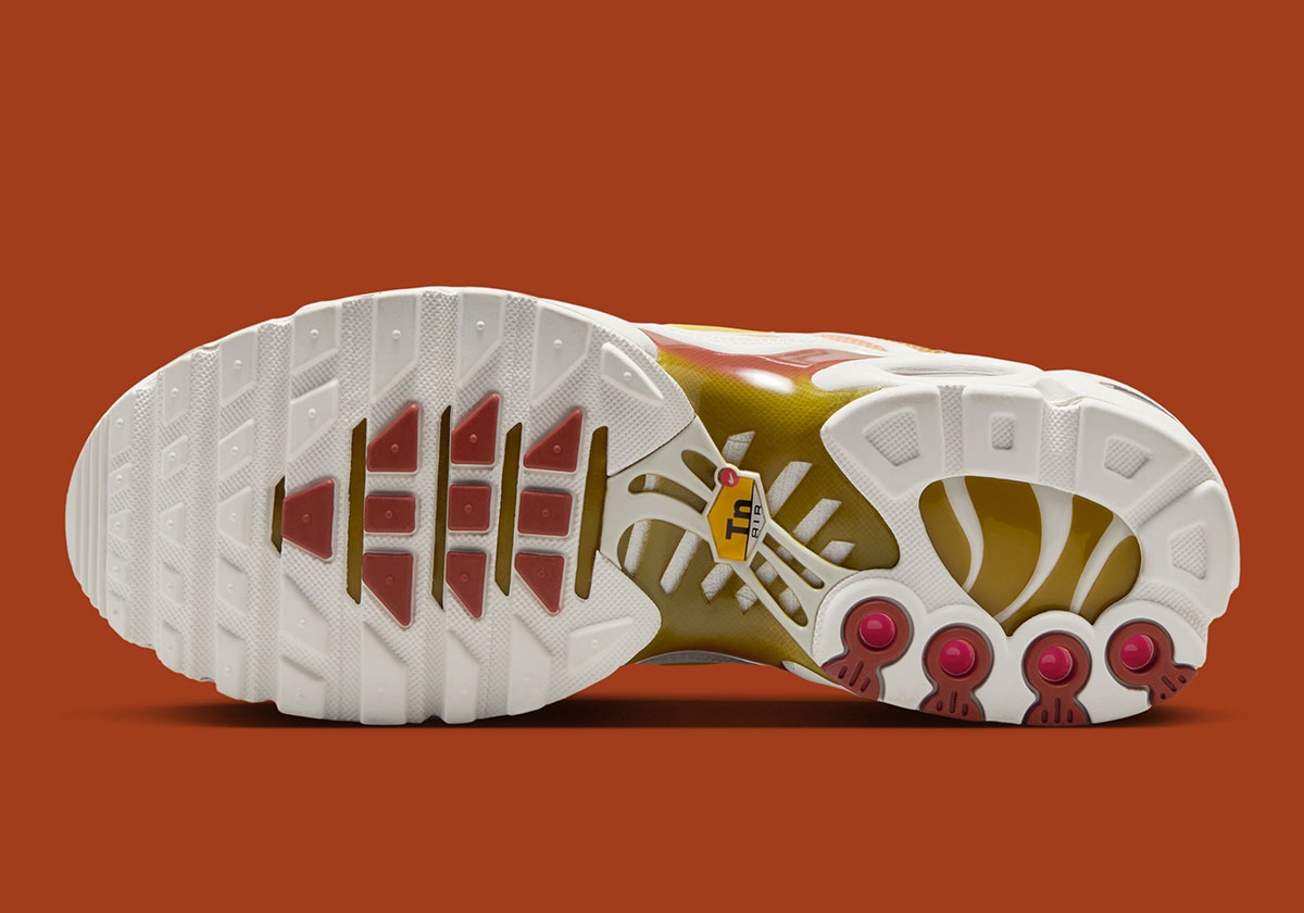 Женские Nike Air Max Plus Rugged Orange