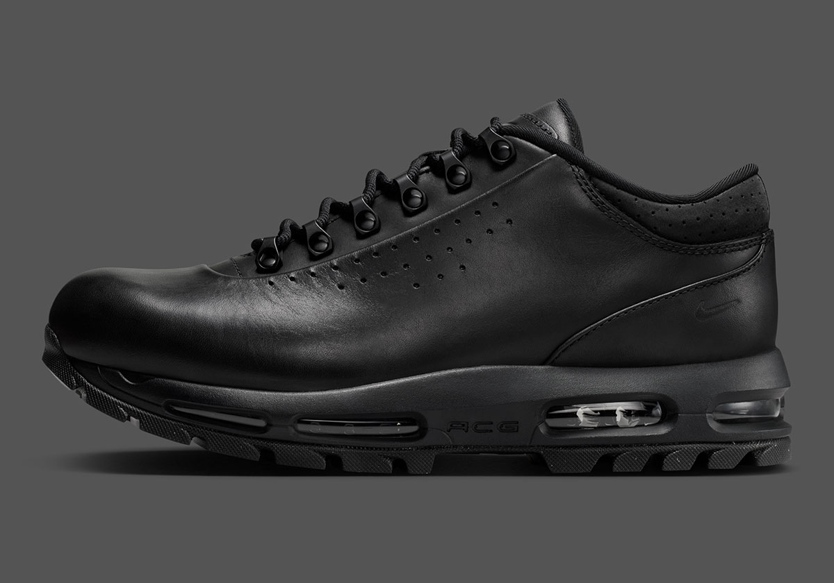 Nike Air Max Goadome Low 2026