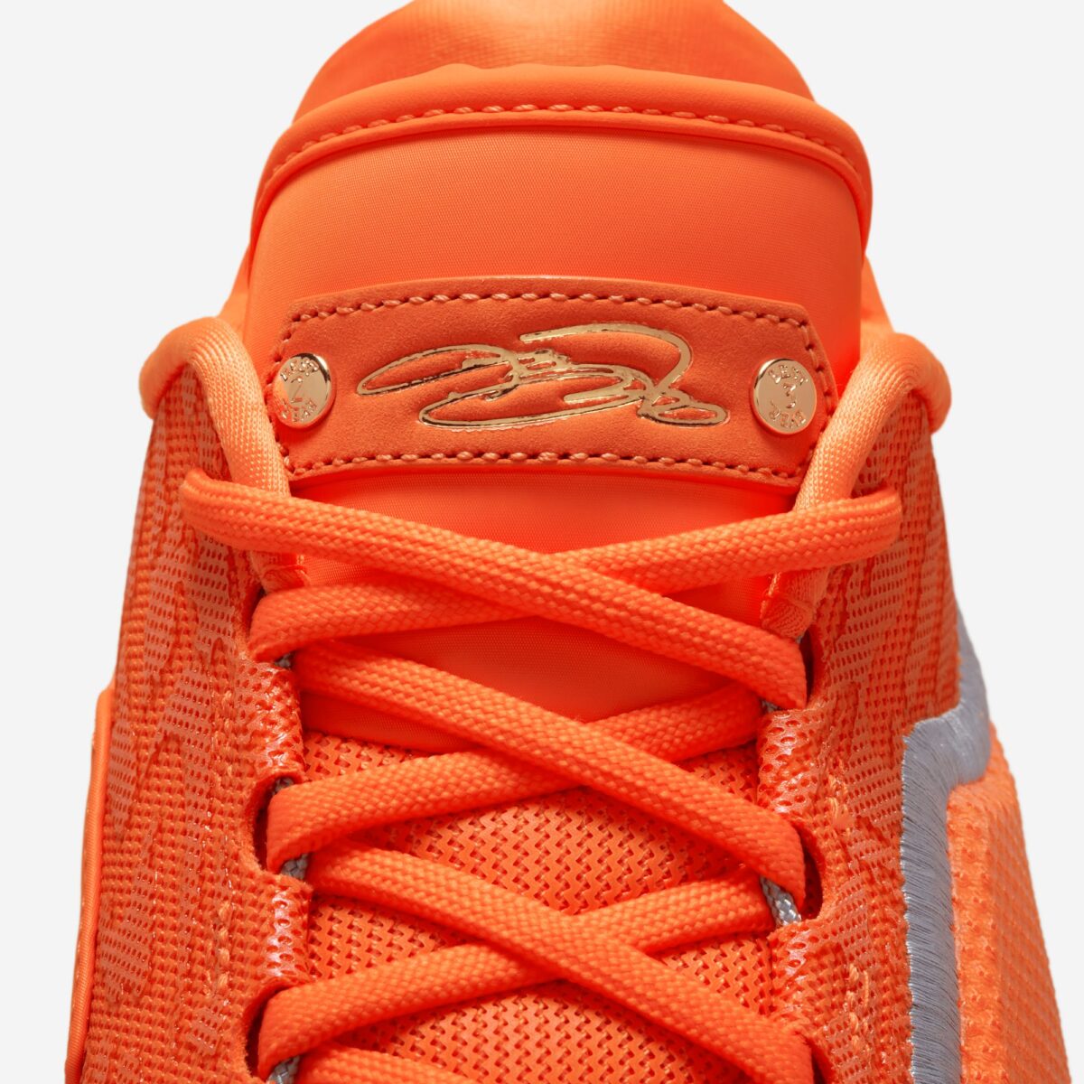 Nike LeBron 23 Shoe Bag 2026 IV5647-800