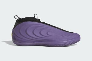 adidas Harden Vol. 10 Matte Purple JQ9426