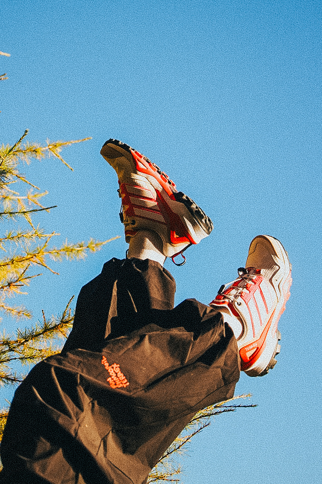 Mark Gonzales x adidas TERREX Shmoofoil