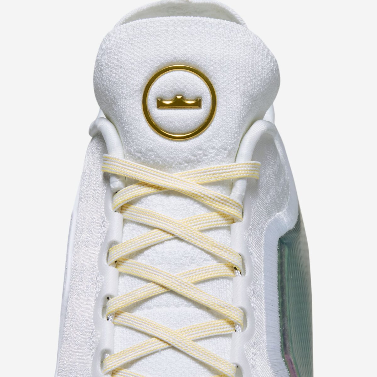 Nike LeBron 23 Elite For The Record IB9557-100