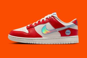Женские WNBA x Nike Dunk Low 30th Anniversary IR1970-604