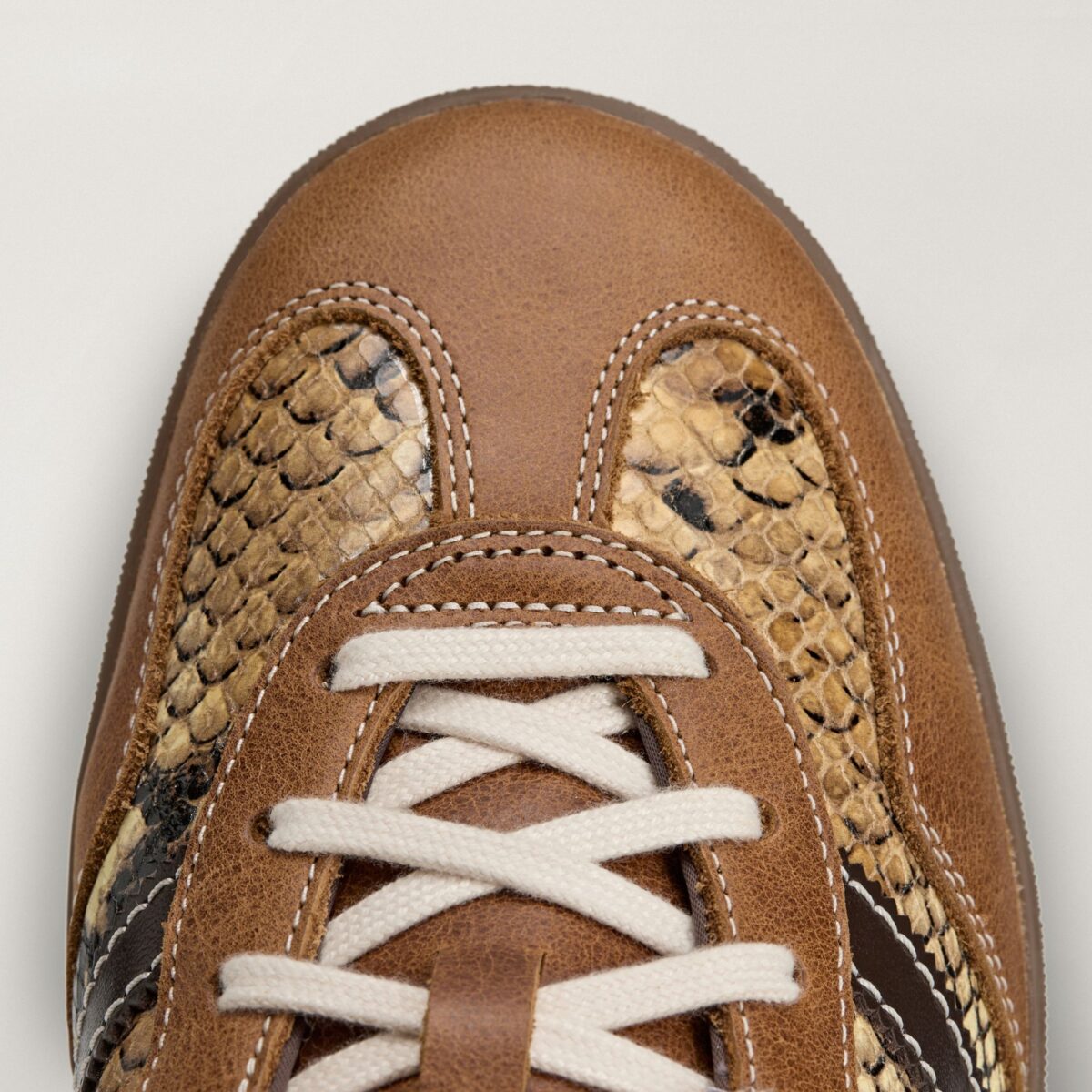 Wales Bonner x adidas Gazelle Snake 2026 KK3641