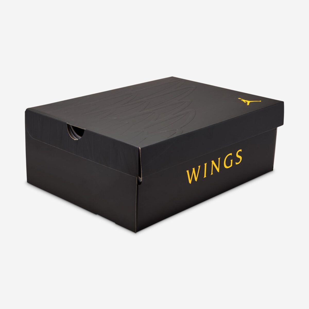 Air Jordan 13 WINGS 2026 IX1872-001