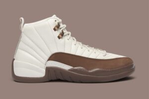 Air Jordan 12 Fireside 2026 CT8013-105